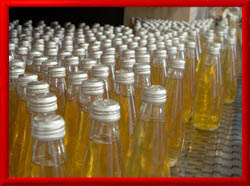 <Bottles on a Conveyor>